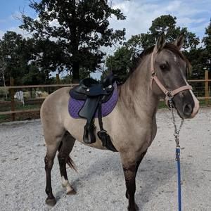 Meet your Posher, Pat